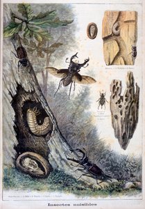 Skadelige insekter, 1897 af Fortuné Méaulle