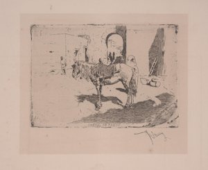Cheval du Marocdani