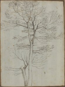 Bare træ [verso]