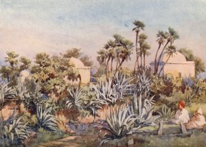 Koubba af Sidi Noumann, Bouzareah (farvelitografi)