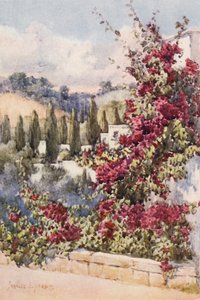 På min balkon, Algier (farvelitografi) af Frances Nesbitt