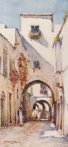Rue Tourbet el Bey, Tunis (farvelitografi) af Frances Nesbitt