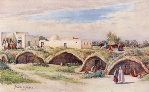 De gamle puniske cisterner, Karthago (farvelitografi) af Frances Nesbitt