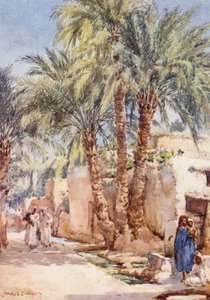 The Palm Village (farvelitografi) af Frances Nesbitt
