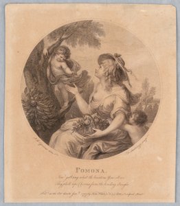 Pomona af Francesco Bartolozzi