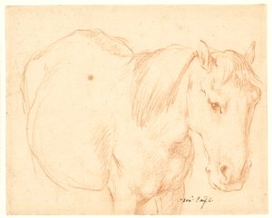 En hest af Francesco Fernandi