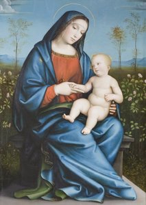 Madonna og barnet i rosenhaven, Raibolini Francesco kaldet Francesco Francia (olie på panel)
