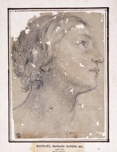 Hovedet af en kvinde, i profil til højre, af Francesco Giovanni Gessi
