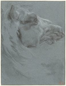 Hovedet på en hest af Francesco Giuseppe Casanova