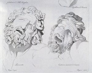 Hoveder af Laokoon og Centaur moriente af Canova af Francesco Hayez
