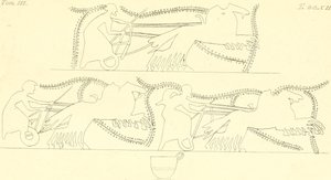 INGHIRAMI(1835) Malerier af fiktive vaser Vol3 T212 (14598189190) af Francesco Inghirami