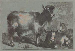 Ged og to unger, 1758. af Francesco Londonio