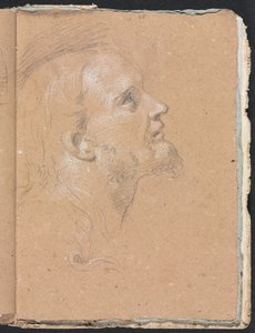 Verona Skitsebog: Mandshoved i profil (side 91)