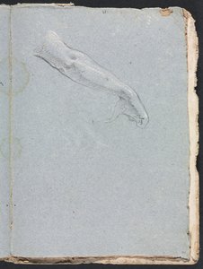 Verona Skitsebog: Højre arm og hånd side 95, 1760. af Francesco Lorenzi