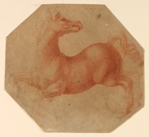 Studie af en opdrætshest efter Leonardo da Vinci