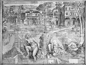 forvandlinger. af Francesco Pozzi