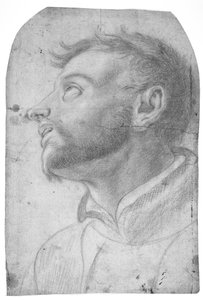 Hovedet af en mand, der ser opad af Francesco Solimena