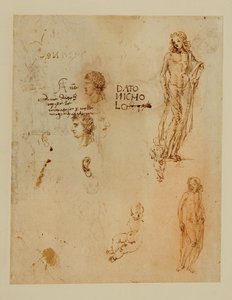 Tre profiler; ører; to Apollos ... af Francesco di Simone (attr. to)