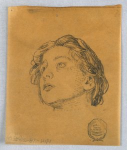 Skitse af en kvindes hoved af Francis Augustus Lathrop