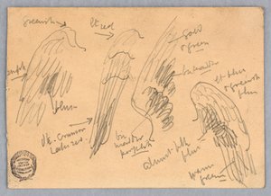Skitser af vinger af Francis Augustus Lathrop