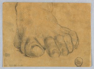 Studie af venstre fod af Francis Augustus Lathrop