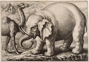 En elefant og en kamel, graveret af Wenceslaus Hollar (1607-77) 1663 af Francis Barlow