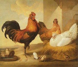 Tamhane, høns og kyllinger, 1655