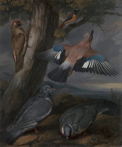 Jay, Green Woodpecker, duer og Redstart af Francis Barlow