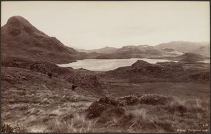 Arthog, Creigene-søen af Francis Bedford