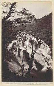 Bettw-s-y Coed, Svalen falder fra oven af Francis Bedford