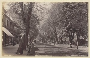 Cheltenham, Promenade, 186094. af Francis Bedford