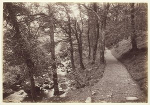 Dolgelley, View in Torrent Walk, 186094.