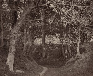 Glen Kenilworth, ca. 1868 (foto) af Francis Bedford