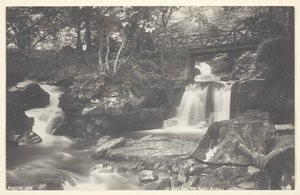 Glen Lyn, den rustikke bro, 186094. af Francis Bedford