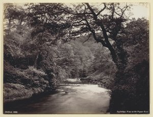 Ivy Bridge, Udsigt over Prysor-floden, 186094. af Francis Bedford