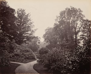 Sti i Alexandra Park, ca. 1863 (foto) af Francis Bedford