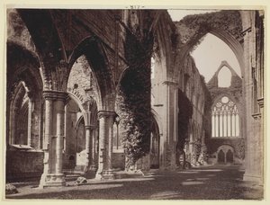 Uden titel [Tintern Abbey], 186094. af Francis Bedford