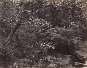Glen ved Lynmouth af Francis Bedford, Francis Frith