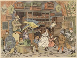 Bedfords bog om butikker: Bird-fancier (farvelitografi)