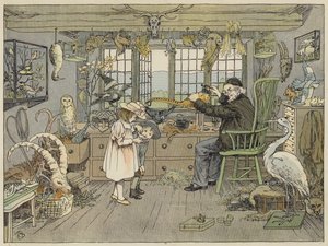 Bird-Stuffer (farvelitografi) af Francis Donkin Bedford