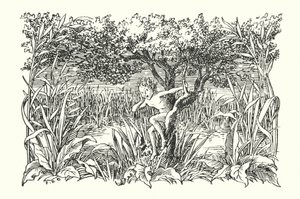 Det glade England: Robin Goodfellow (litografi) af Francis Donkin Bedford