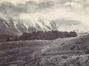 Fjernsyn over Libanons cedertræer, ca. 1857. af Francis Frith
