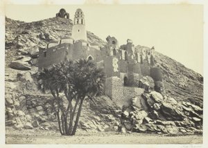 Doum Palm og den ødelagte moske, Philæ af Francis Frith
