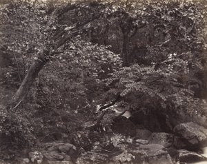 Glen i Lynmouth, 1860