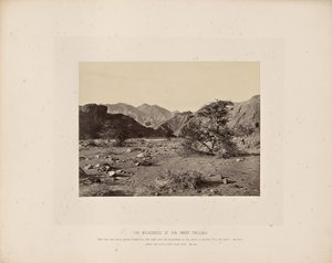 Syndens vildmark (Wady Shellal) af Francis Frith