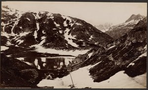Tordensee og Finsteraarhorn af Francis Frith