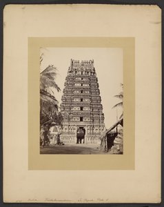 Trickaleecoondrum, La Pagoda, Porte E af Francis Frith