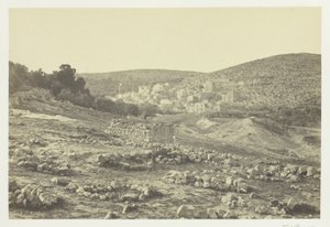 Udsigt ved Hebron af Francis Frith