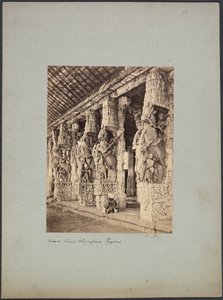 Trichinopoly Hestebane, 1850