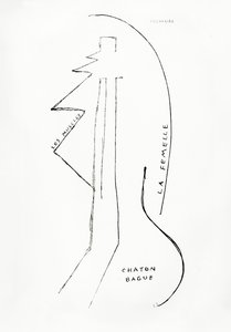 Poemes et Dessins de la Fille nee sans Mere, nr. 23, udgivet af Imprimeries Reunies, Lausanne af Francis Picabia